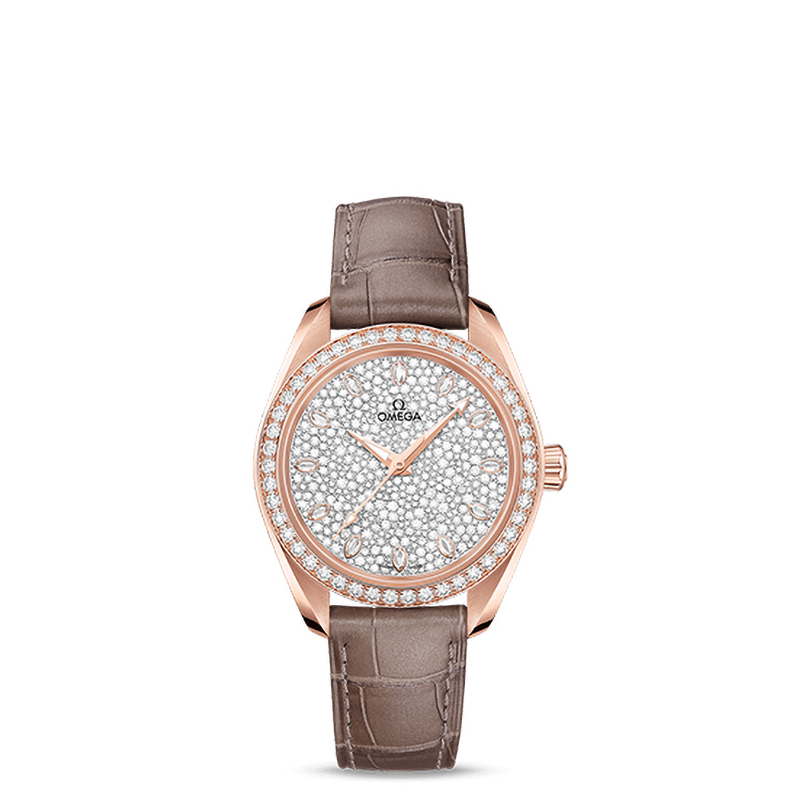 Orologio PLANET OCEAN 600M OMEGA CO-AXIAL MASTER CHRONOMETER GMT 45,5 MM