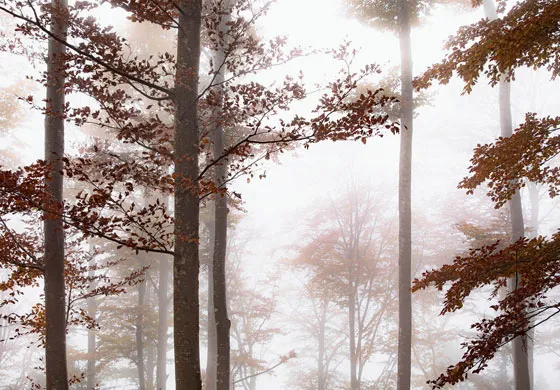 Orologi Oris: i servizi